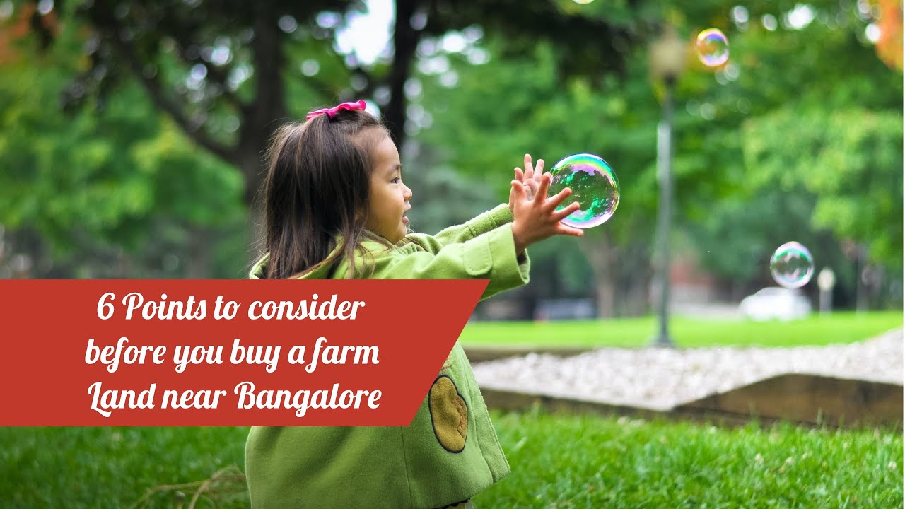 Top 6 Things to Know Before Buying Farm Land near Bangalore