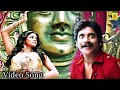 Ringa Ringa Rose Tamil Dubbed Video Song Vambu Thaman S Nagarjuna Priyamani Tamilromancesong