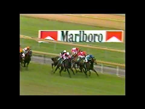 1984 MRC Underwood Stakes