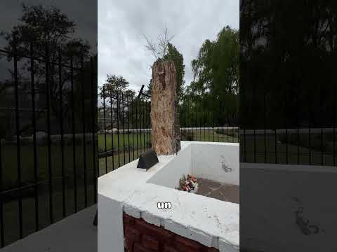 ¡El PUEBLO ISLA de Río Negro! 🌿 Conociendo Pomona en Motorhome 🚐