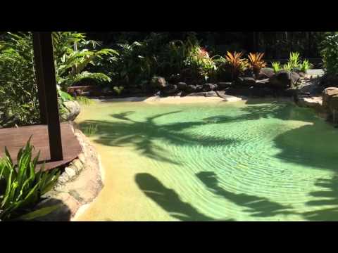 Misty mountains rainforest retreat