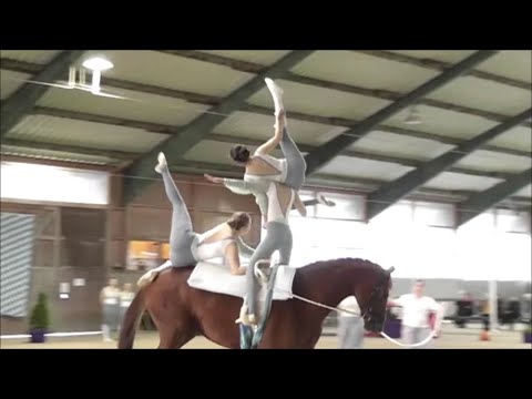 Voltigieren - 2. Turnier Ingelsberg 2024 - Gruppe München-Daglfing 1