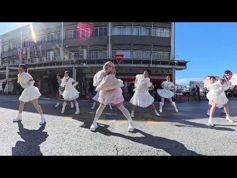 Sp1der lily's 彦根ゑびす講 2025年11月22日