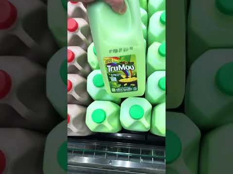 Smash or Pass 🍀 green 🍀 mint vanilla milk!?  l  DONUT CRITIC