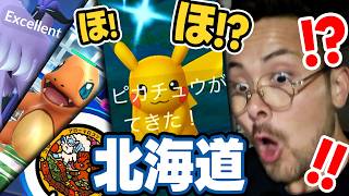 北海道で激レア色違いピカチュウ！？さらにガラルフリーザーまで出現！ANAヒトカゲがぁぁああ…【ポケモンGO】