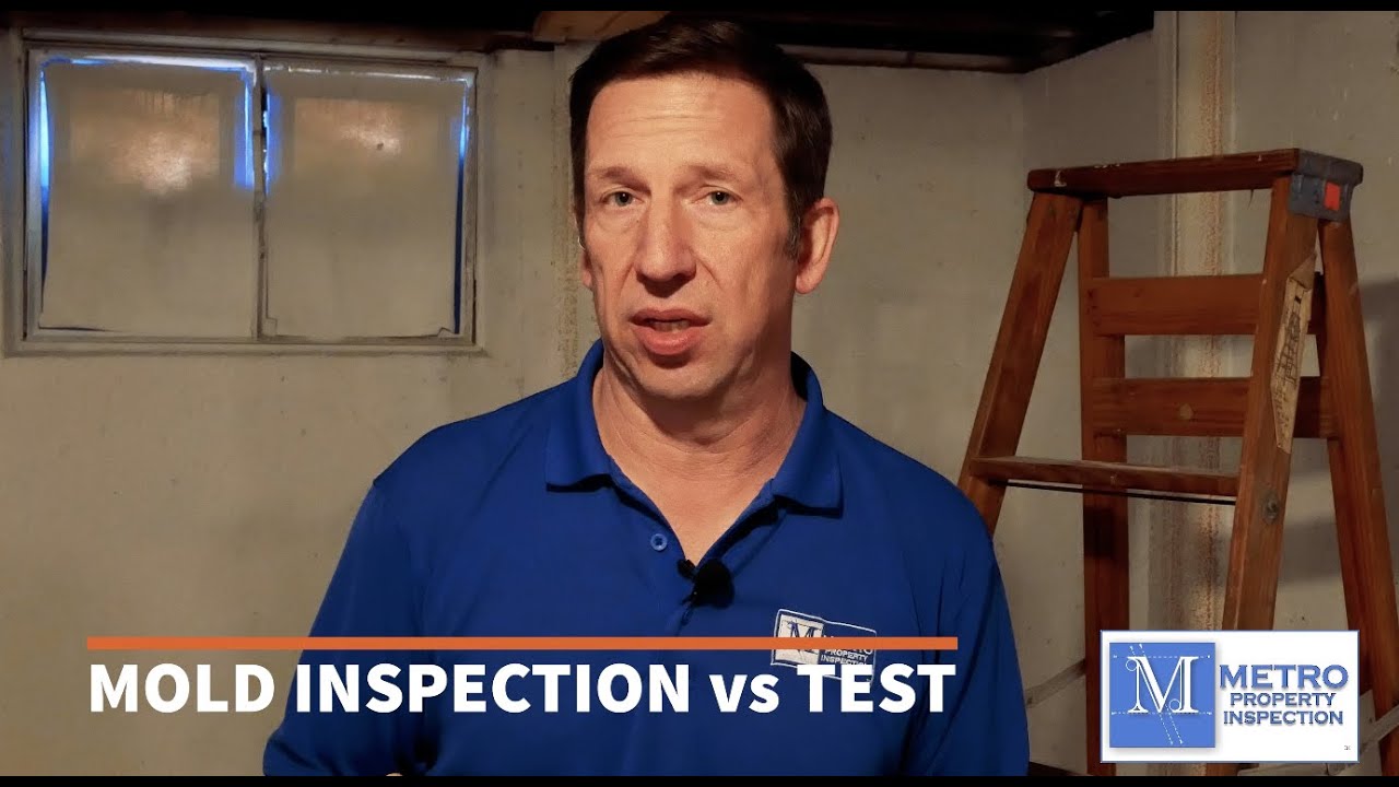 Mold Inspection vs. Mold Testing | Metro Property Inspection - Mold Series Ep 4