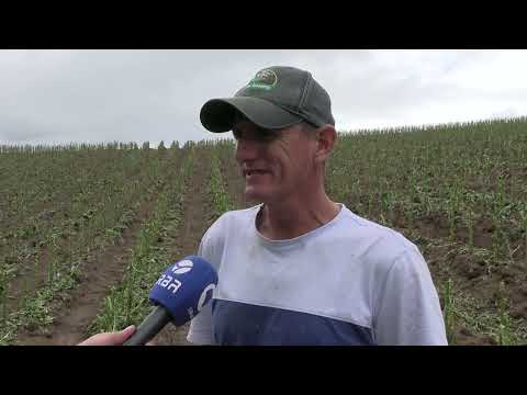 Estragos GRANIZO Lontras!