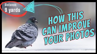 How to Find Focal Distance in Lightroom & Why It Matters for Better Photos