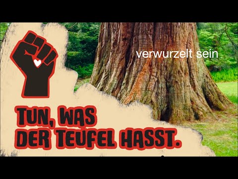 Tun, was der Teufel hasst – verwurzelt sein (2)