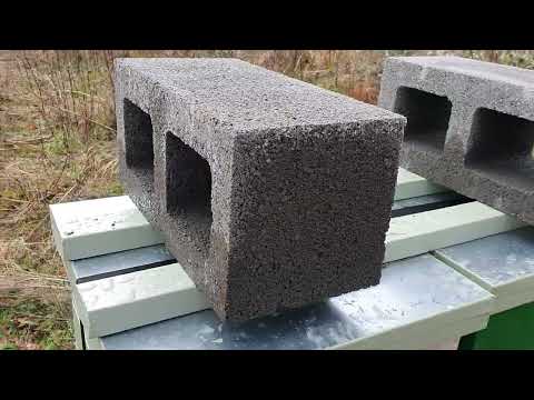 Apicultura romaneasca in Anglia _Furtuna Eunice si albinele mele