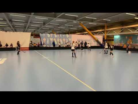 T12 ErVi - Northern Stars