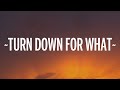 DJ Snake Lil Jon Turn Down For What Lyrics