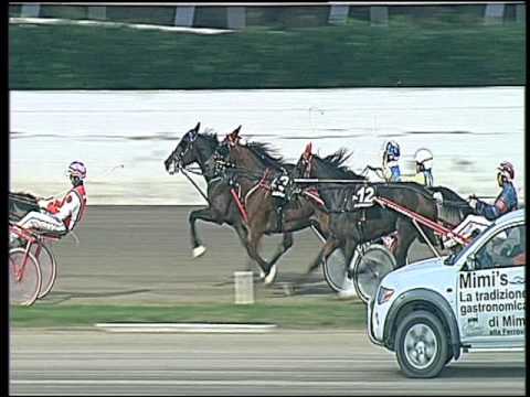 Trotto 18/11/2016 - 3ª corsa