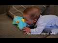 Fisher Price Ocean Wonders Soothe And Glow Seahorse Commercial