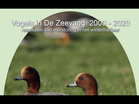 , title : 'Mini lezing vogels in de Zeevang door Ben Pronk'