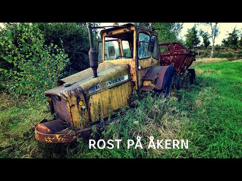 ROST på ÅKERN LÅNGT in i SKOGEN - återbesök - 210830 - Sony Xperia I mk2 - BLEKINGE