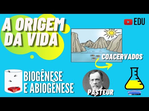 Origin of Life on Earth - Lesson | ANIMATION