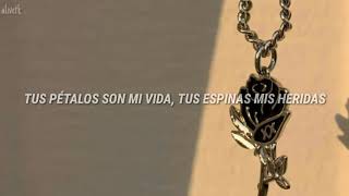 Porta- Mi rosa negra (letra)