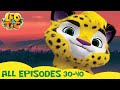 LEO And TIG All Epsodes In A Row 30 40 Cartoons Collection Moolt Kids Toons Happy Bear