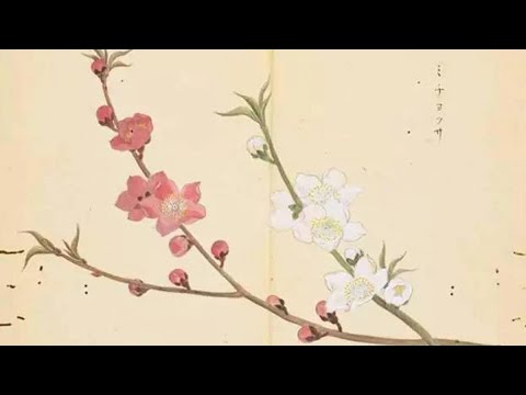 馨的意思名字