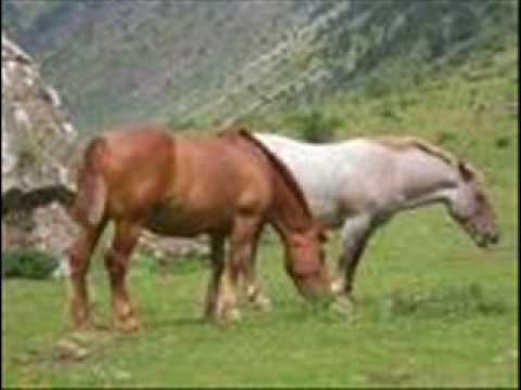 como foi bom... luis rosa.wmv