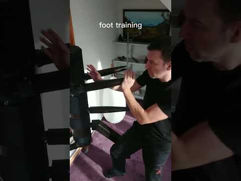 wooden buddy a new way of wooden dummy training