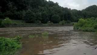 preview picture of video 'Curwensville, PA High Water Levels 6/27/2013'
