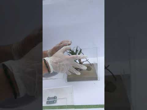 Notice montage Terrarium 20X20X20 cm