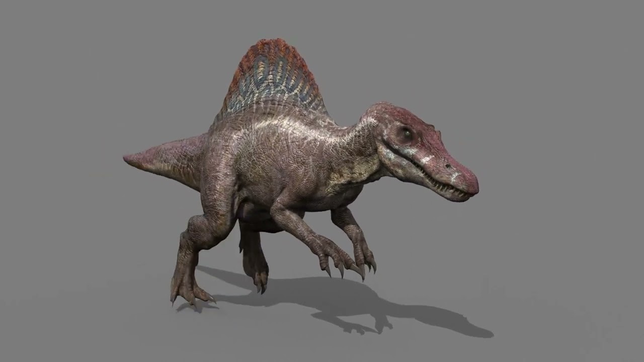 Suchomimus Mongolica - 8K animated JP3 Spinosaur 3D Model