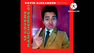 Lo Primero Que Haría | Vicente Fernández (Cover por David Alexander)