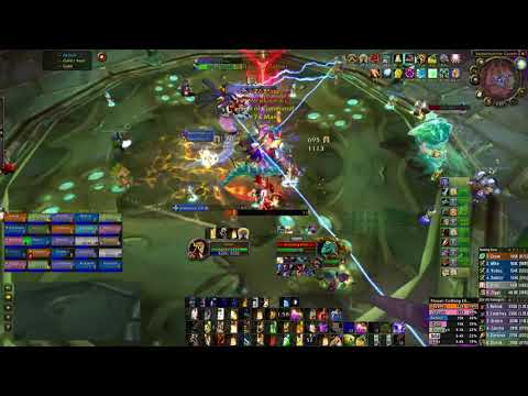 [Tide] Vashj & Kael'Thas Ret Paladin POV