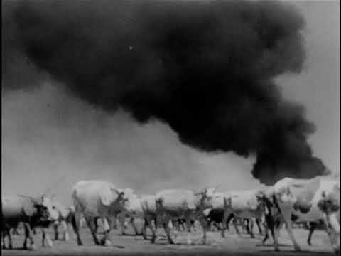 Les grandes batailles - La bataille de Moscou (Juin 1941 - Décembre 1941)