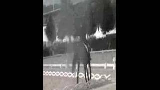 Video von Salinero