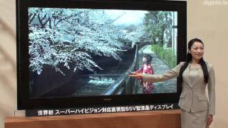 Worlds First 8K Ultra High Definition Display Video