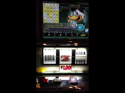 American roulette odds Blackjack syrah 2007