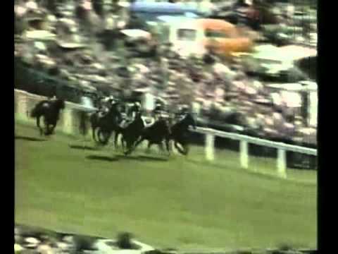 Shergar- The 1981 Epsom Derby (Epsom Downs)
