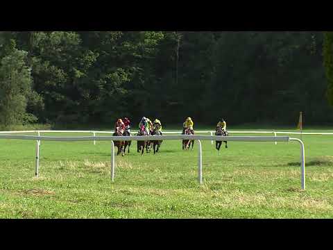 Dostihy Netolice 13. 8. 2023 - 8. dostih - Memoriál Julia Hájka a Jiřího a Tomáše Hurtových