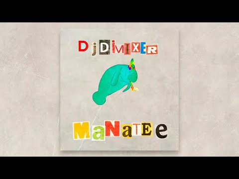 DJ DimixeR - Manatee [NEW TRACK 2019]