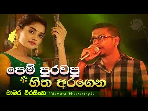 පෙම් පුරවපු හිත අරගෙන (චාමර වීරසිංහ)/ Pem purawapu hitha aragena (Chamara weerasinghe)