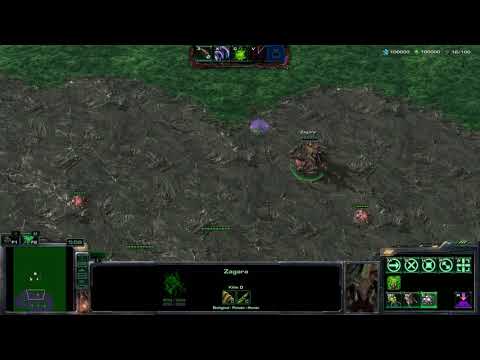 Zagara Coop Revamp Idea 7/4/18