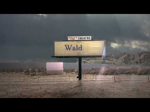 Waldeck - The Weatherman (Mescalino Dub)