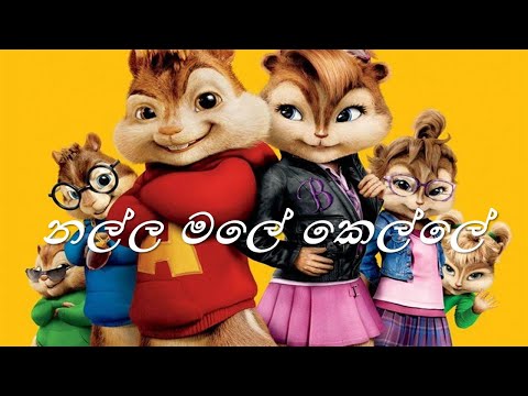 Nalla Male Kelle (නල්ල මලේ කෙල්ලේ) Song / Chipmunks Version / Dilnuk Ranmila ft