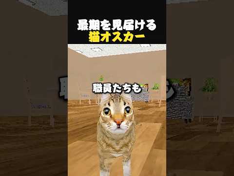 最期を見守る猫