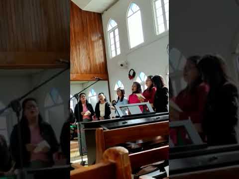 The  SUNBEAMS  hla "A hming Maka"  cover by female voice (krismas ami throwback)