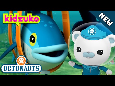 @Octonauts - 🪺 THE BLUEFIN TUNA 🐟 | BRAND NEW | Season 5 | Full Episode 2 | @Kidzuko Exclusive!