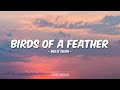 Billie Eilish Birds Of A Feather Lyrics