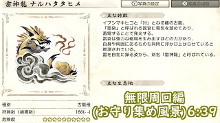 (switch版)お守り集め周回雷神　6:39