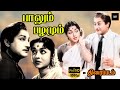 பாலும் பழமும் தமிழ் திரைப்படம் Paalum Pazhamum