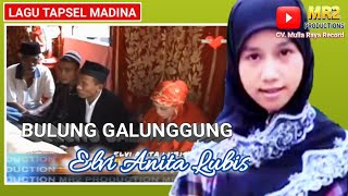 Download lagu BULUNG GALUNGGUNG - Lagu Tapsel - ELVI ANITA LUBIS mp3