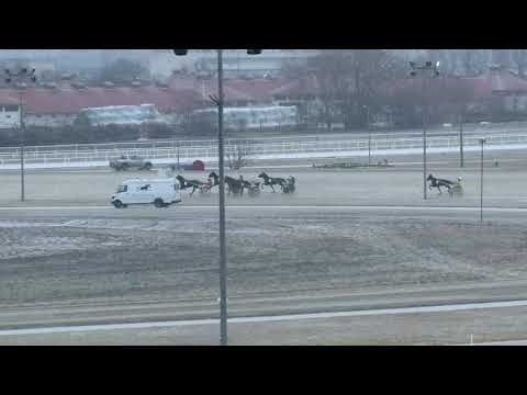 2018.02.03. 5. futam - KISKARCSI DÍJ